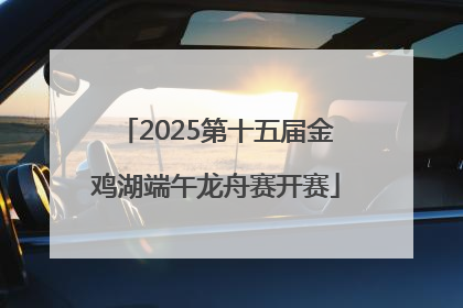 2025第十五届金鸡湖端午龙舟赛开赛