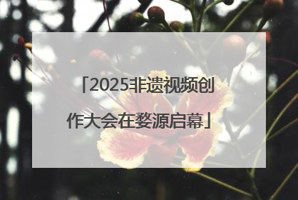 2025非遗视频创作大会在婺源启幕