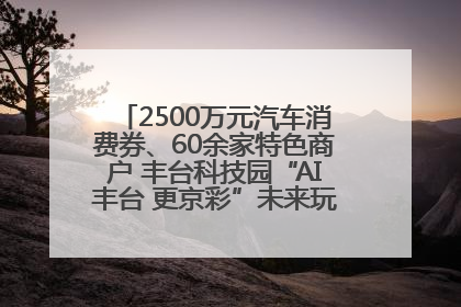 2500万元汽车消费券、60余家特色商户 丰台科技园“AI丰台 更京彩”未来玩家市集活动正式开幕
