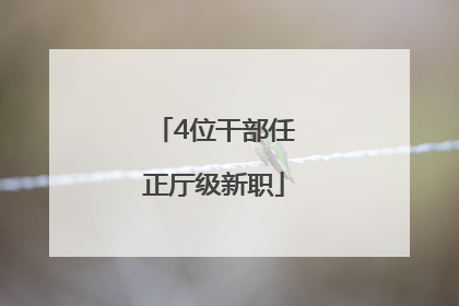 4位干部任正厅级新职