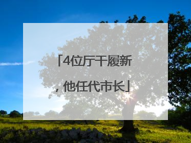 4位厅干履新，他任代市长
