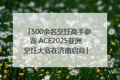 500余名烹饪高手参赛 ACE2025亚洲烹饪大赛在济南启幕