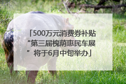 500万元消费券补贴 “第三届槐荫惠民车展”将于6月中旬举办