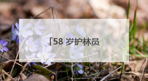 58 岁护林员陈长贵的 “双面人生”：左手青山，右手亲人