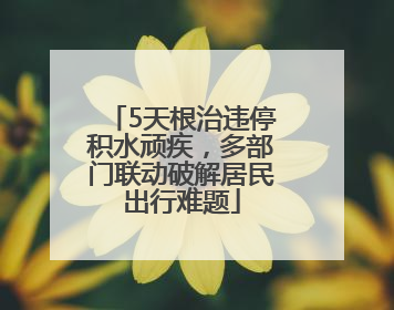 5天根治违停积水顽疾，多部门联动破解居民出行难题