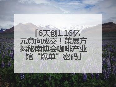 6天创1.16亿元意向成交！策展方揭秘南博会咖啡产业馆“爆单”密码