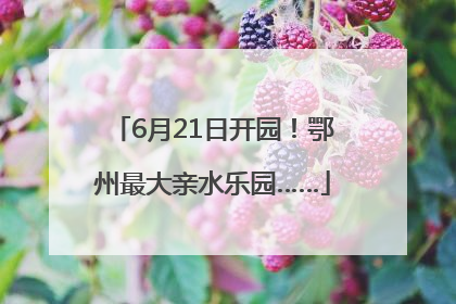 6月21日开园！鄂州最大亲水乐园……
