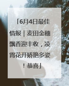 6月4日最佳情报｜麦田金穗飘香迎丰收，凌霄花开娇艳多姿！恭喜