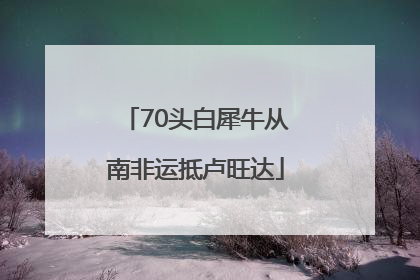 70头白犀牛从南非运抵卢旺达