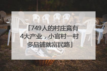 749人的村庄竟有4大产业，小官村一村多品铺就富民路