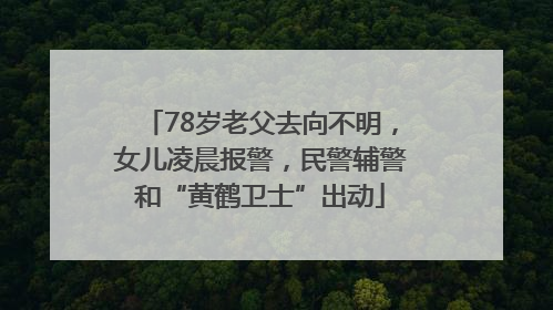78岁老父去向不明，女儿凌晨报警，民警辅警和“黄鹤卫士”出动