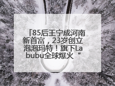 85后王宁成河南新首富，23岁创立泡泡玛特！旗下Labubu全球爆火“一娃难求”