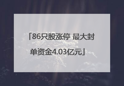 86只股涨停 最大封单资金4.03亿元