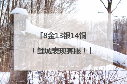 8金13银14铜！鲤城表现亮眼！