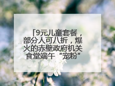 9元儿童套餐，部分人可八折，爆火的赤壁政府机关食堂端午“宠粉” 再升级