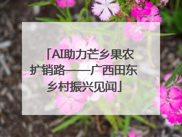 AI助力芒乡果农扩销路——广西田东乡村振兴见闻