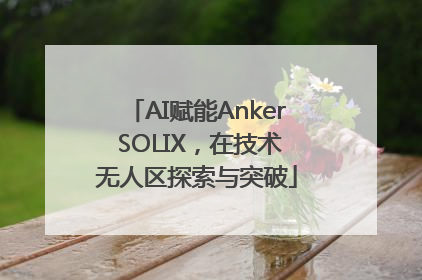 AI赋能Anker SOLIX，在技术无人区探索与突破