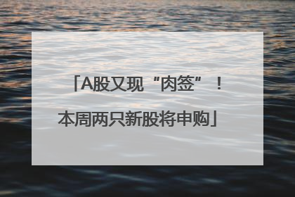 A股又现“肉签”！本周两只新股将申购