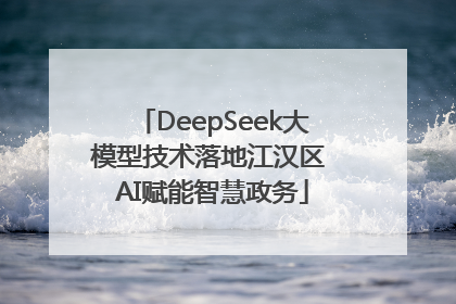 DeepSeek大模型技术落地江汉区 AI赋能智慧政务