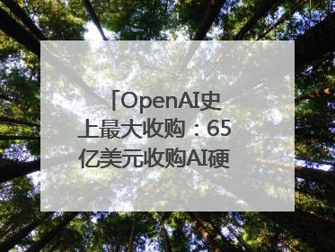 OpenAI史上最大收购：65亿美元收购AI硬件公司，由苹果前设计总监创办