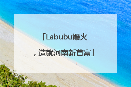 Labubu爆火，造就河南新首富