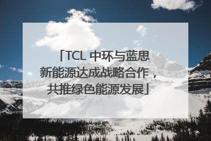 TCL 中环与蓝思新能源达成战略合作，共推绿色能源发展